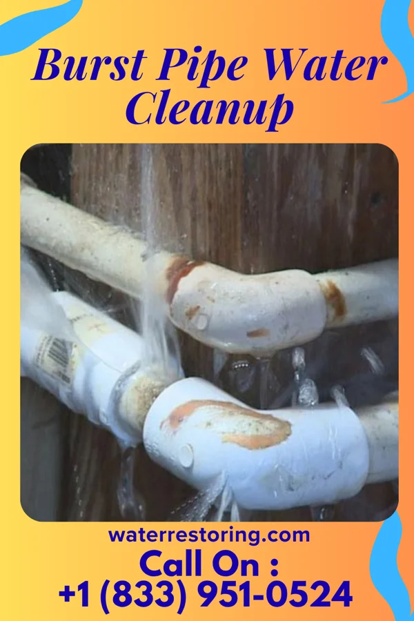 Burst Pipe Water Cleanup in Whitwell, TN